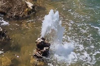 Van Gölü’nde şaşırtan görüntü: Mikrobiyalitten tatlı su fışkırdı