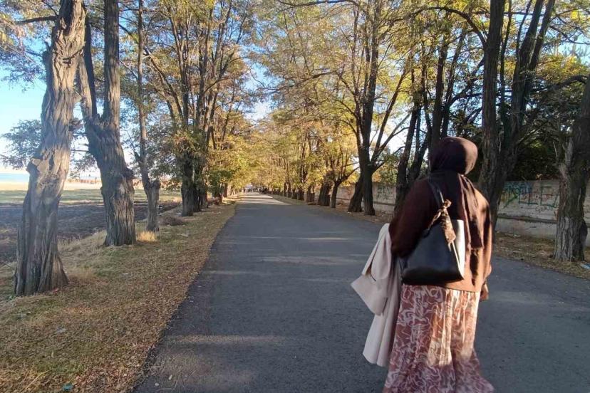 Van’da sonbahar renk cümbüşü