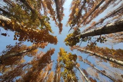 Van’ın sonbahar güzelliği: Van Kalesi ve Atatürk Kültür Parkı ziyaretçilerin gözdesi oldu
