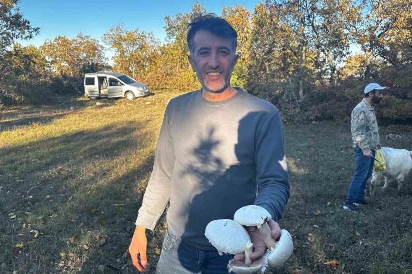 Yağışlar sonrası ormanlarda mantar patlaması yaşandı