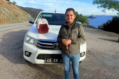 Yasadışı Kınalı Keklik satışına 28 bin TL ceza