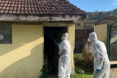 Yığılca’da kahverengi kokarca ile kışlak mücadelesi devam ediyor