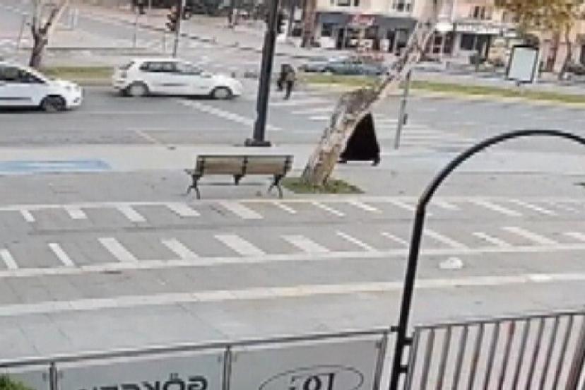 Yolun karşısına geçmeye çalışan yayaya otomobil çarptı