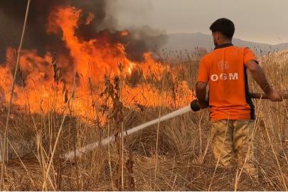 Yüksekova kuş cenneti alevlere teslim: Yangın kontrol altına alınamıyor