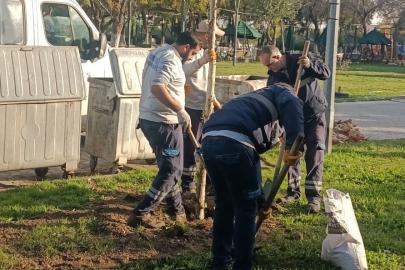 Yunusemre’de ağaçlandırma çalışmaları sürüyor