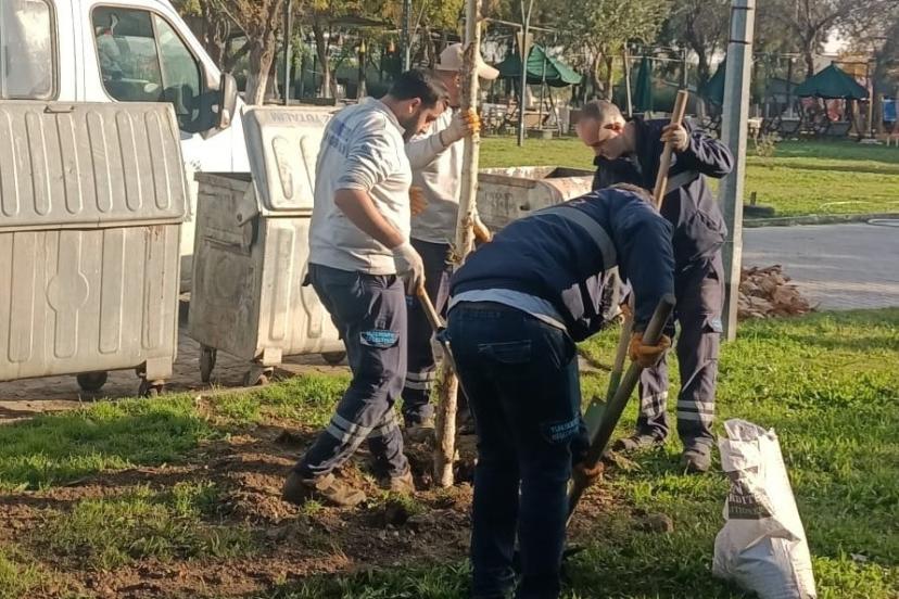 Yunusemre’de ağaçlandırma çalışmaları sürüyor