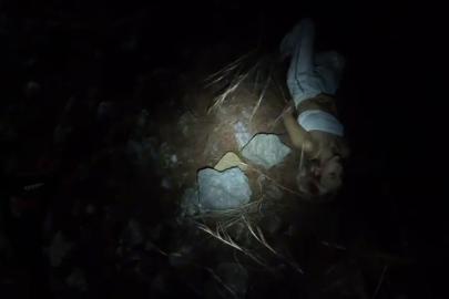 Yürüyüş esnasında uçurumdan düşen Ukraynalı 2 turist kurtarıldı