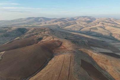 Yüzlerce ağacın kesilmesine vatandaşlardan tepki: "40 yılda büyüdü, 4 gün de yok edildi"