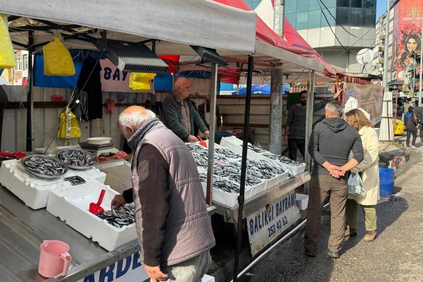 Zonguldak’ta hamsi azaldı, fiyatlar yeniden yükselişte