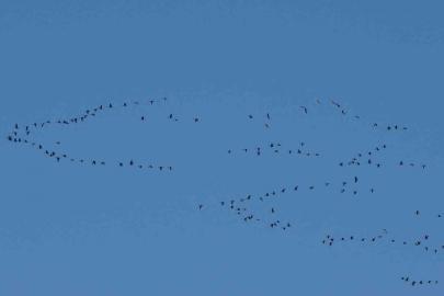 Zorlu göçün durağı Erçek Gölü