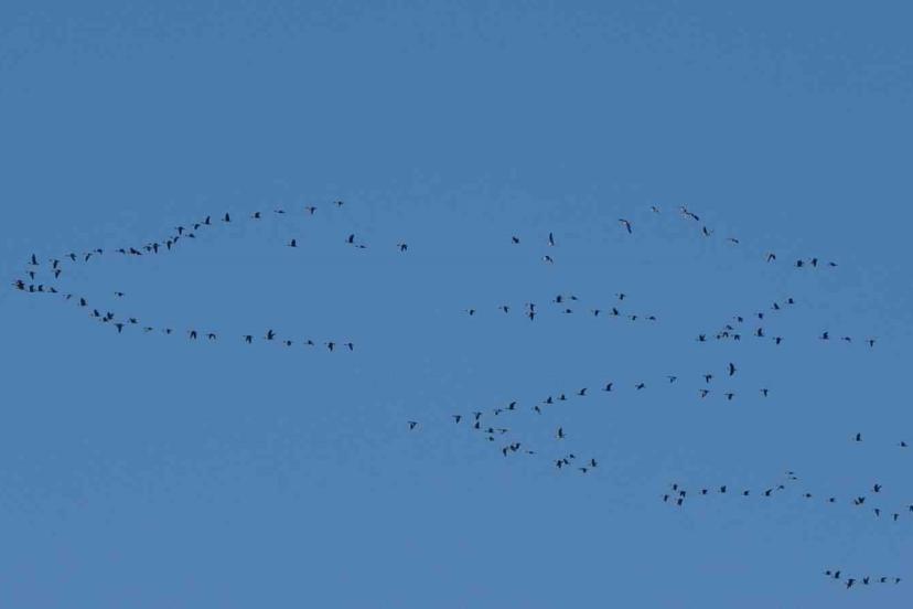 Zorlu göçün durağı Erçek Gölü