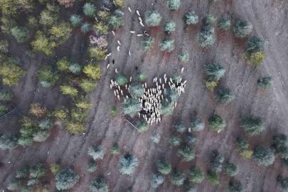 1 milyon 220 bin metrekarelik mera arazisinde "imar planı" iddiası: Müfettişler incelemeye aldı