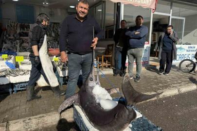 138 kiloluk kılıç balığı ilgi odağı oldu