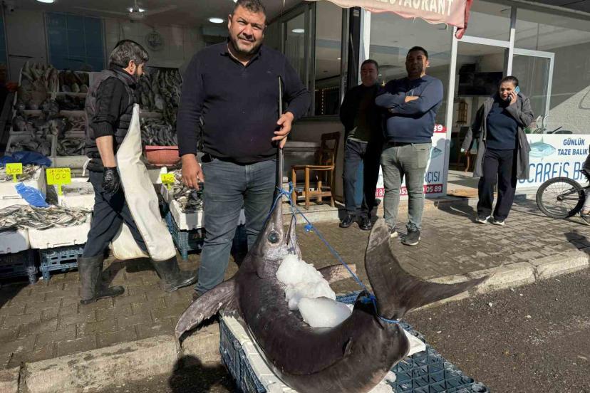 138 kiloluk kılıç balığı ilgi odağı oldu