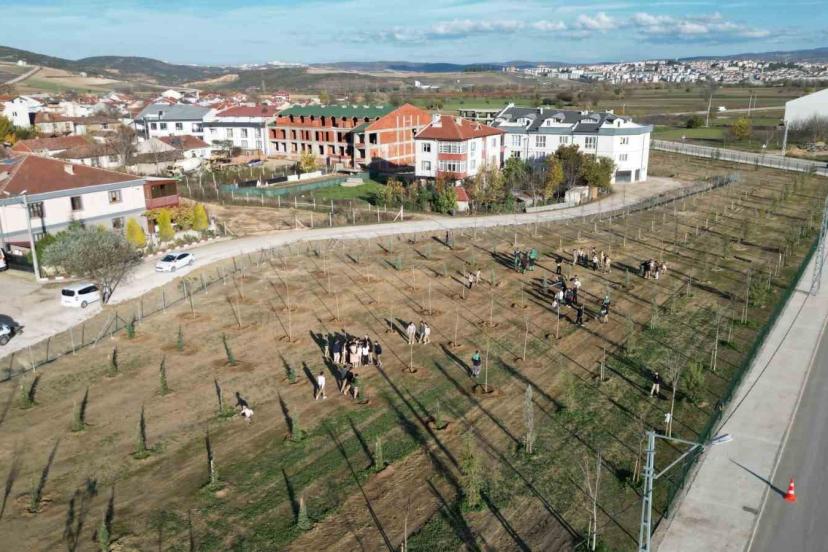 572 fidanlı koruluk Akhisan’a nefes olacak