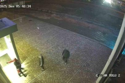 Adana’da 4 çocuk, beğendiği 4 motosikleti galeriden çaldı