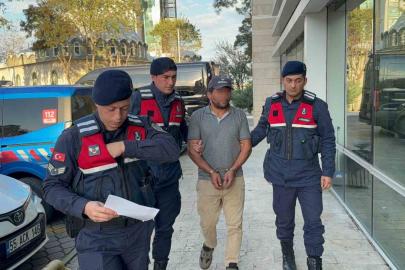 Ağaç kesimi sırasında komşusunun ölümüne sebep olan şahıs tutuklandı