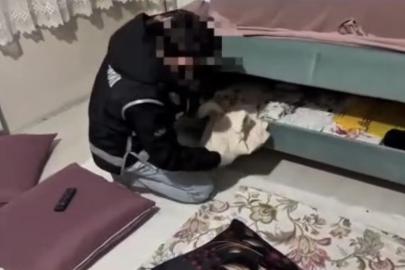 Ağrı’da kaçakçılık operasyonunda milyonluk telefon ve sigara ele geçirildi