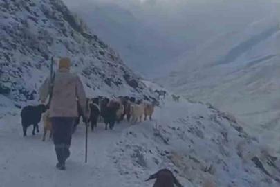 Ağrı’da kar ve tipi hayatı durdurdu