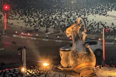 Akşam saatlerinde dikkat! Erzincan’da kargalar sokakları sardı