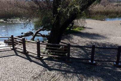 Akyaka Kadın Azmağında doğal dokuyu koruyan çalışma tamamlandı