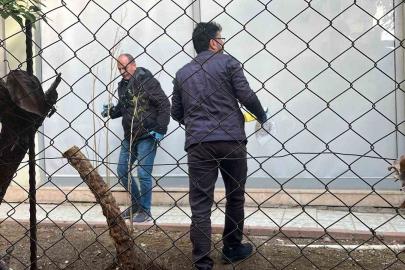 Alanya’da alacak verecek meselesi kanlı bitti, 1 yaralı