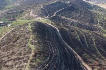 Aliağa ve Foça’da yanan orman alanları yeniden yeşile kavuşuyor