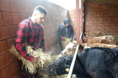 Almanya’dan köyüne döndü, çobanlık yapmaya başladı