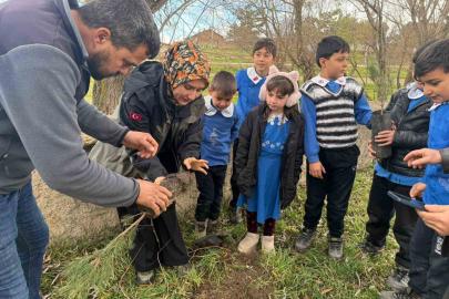 Altıntaş’ta öğrenciler fidanları toprakla buluşturdu