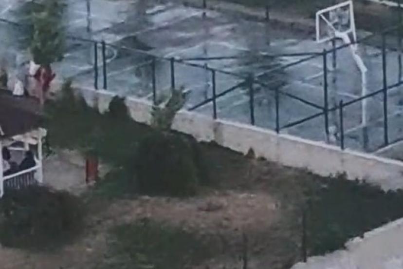 Ankara’da iki kardeşe saldıran pitbullun sahibinin, köpeğini tasmasız ve ağızlıksız gezdirdiği görüntüler ortaya çıktı