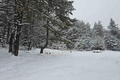 Ankara’da yaylalar beyaza büründü