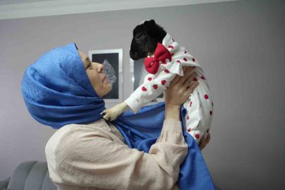 Annesi ölen kuzuya evinde bebek gibi bakıyor