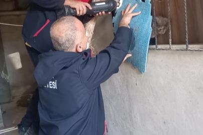 Antakya’da kedi kurtarma operasyonu