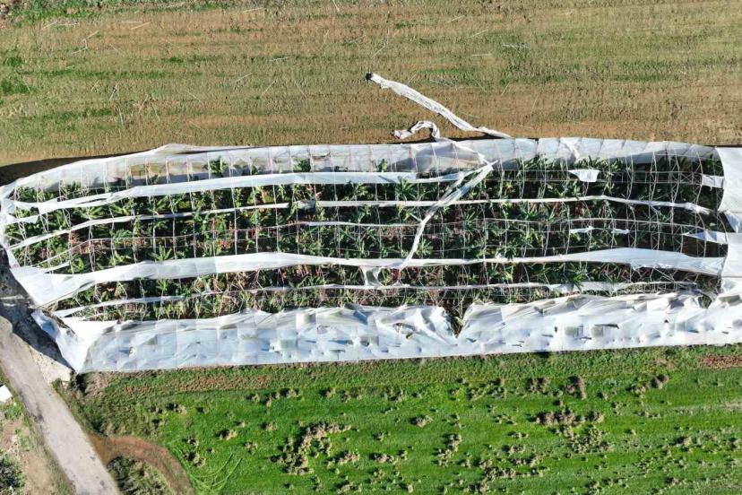 Antalya’da hortumun seralara verdiği zararın boyutu gün yüzüne çıktı