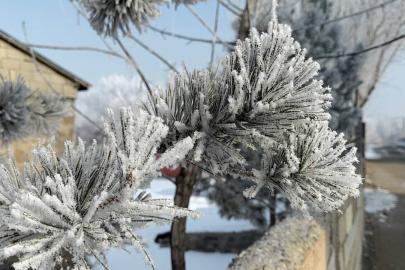 Araçlarını soğuktan korumak için battaniyelerle örtüyorlar