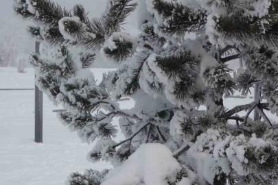 Ardahan’da dondurucu soğuklar etkisini artırdı: Ağaçlar kırağı tuttu