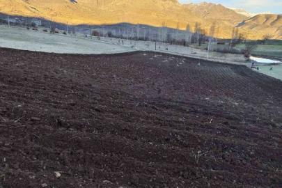 Arpalar kar yağmadan toprakla buluşuyor