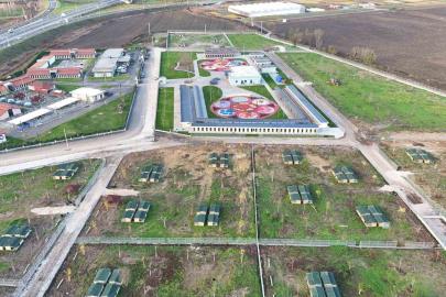 Avrupa standartlarında tesis: Sakarya Büyükşehir, sokak hayvanları için yeni bir dünya kurdu