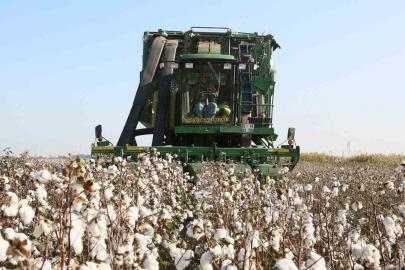 Aydın İl Tarım Müdürlüğü’nden üreticilere ÇKS hatırlatması