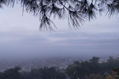 Aydın’da puslu sabah manzaraları mest etti