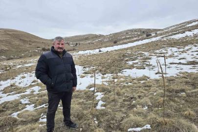 Babasıyla tartıştı, vadeli koyun alarak kendi sürüsüne sahip oldu