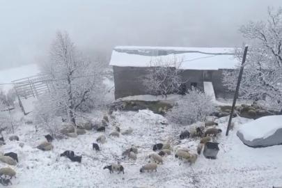 Bahçesaray’da kar yağışı