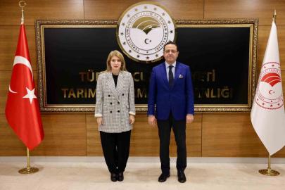 Bakan Yardımcısı Gizligider ile görüşen Ölmeztoprak, üreticinin taleplerini iletti