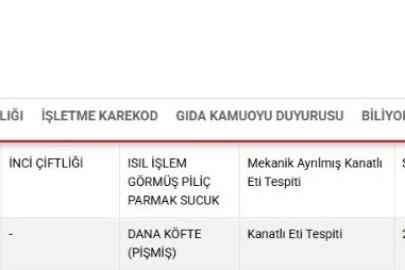 Bakanlık listesinde Kayseri’den 2 firma