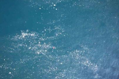 Balat sahilinde olta atan balıkçılar deniz yüzeyinde oluşan kirlilikten şikayetçi