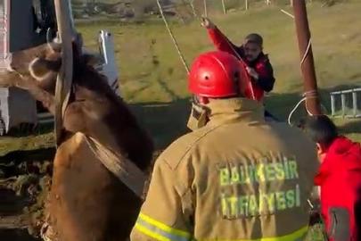 Balıkesir’de kuyuya düşen inek kurtarıldı