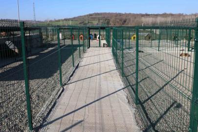 BARÜ’de kampüsteki hayvanlar için yaşam merkezi oluşturuldu