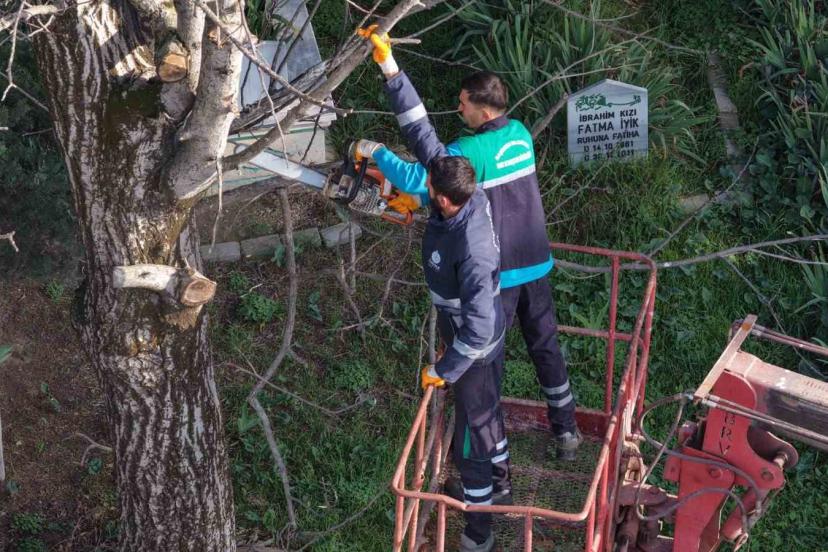 Başiskele’de budanan ağaç dalları ihtiyaç sahiplerine yakacak oluyor