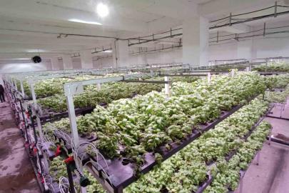 Batman’a eksi birinci katta 30 milyonluk "dikey tarım" yatırımı