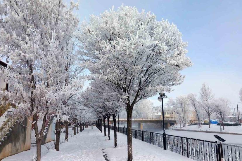 Bayburt’un Arpalı Beldesi güne kar yağışıyla uyandı